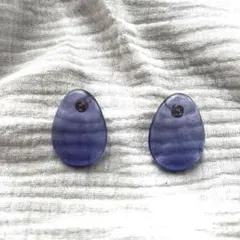 ⭐︎アネモネ⭐︎クリアパープルピアス⭐︎