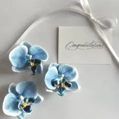 Item thumbnail for item d20052b6-157d-4103-a1d0-17041fc03ac6