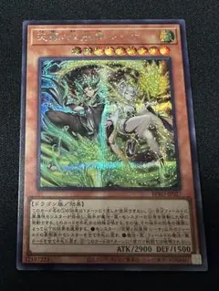 2026年最新】天雷ノ双風神 シーナの人気アイテム - メルカリ