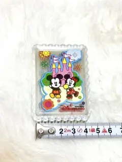香港ディズニー ミッキー・ミニー トランプのサムネイル