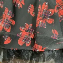 Item thumbnail for item 464e88ad-c0f4-403e-b8d1-d56080e26055