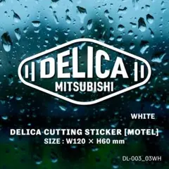 attoingk様 リクエスト 2点 まとめ商品