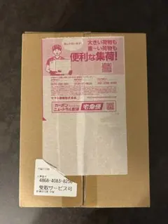 メガドリームex box ポケセン産