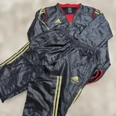 【専用】アディダス プロフェッショナル Lサイズ セットアップ 野球 アディダス プロフェッショナル 上下セット（Lサイズ）野球