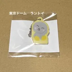 RIIZE ウンソク マグネットアクリルチャーム（R）／東京ドーム ラントイ