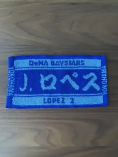横浜DeNAベイスターズ ロペス選手