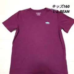 L.L.Bean Tシャツ　キッズ L14-16 160㌢　紫色　アウトドア