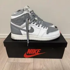 Nike GS Air Jordan 1 High OG GS Stealth