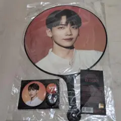 SEVENTEEN JEONGHAN BE THE SUN うちわ