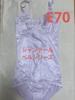 2025年最新】シャンデール ボディ f95の人気アイテム - メルカリ