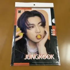 BTS ジョングク　クリアファイル