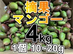 2026年最新】摘果マンゴーの人気アイテム - メルカリ