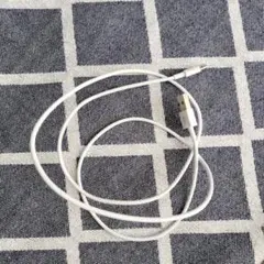 Apple Lightningケーブル ホワイト 1m