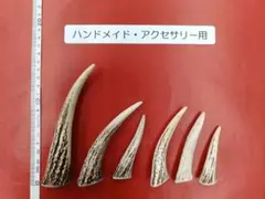 【天然北海道産蝦夷鹿の角】ハンドメイドパーツ②