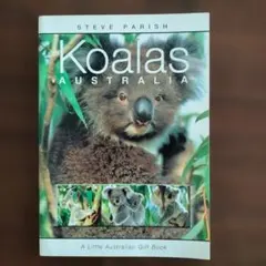 Koalas Australia Steve Parish
