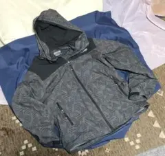 Item thumbnail for item 4f5cf2fa-3a48-4216-b7b1-36d7f631376f