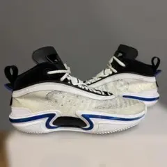 AIR JORDAN 36 カスタム　28cmのサムネイル