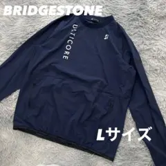 Item thumbnail for item 2cab62c3-4a4b-4173-8ea8-82e5e564551f