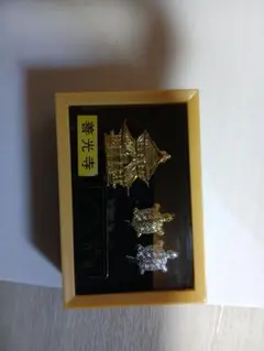 善光寺 開運 招福 金・銀銭亀 セット