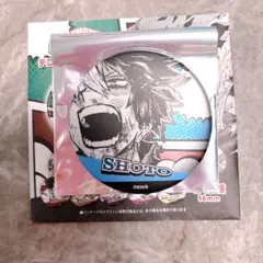 ヒロアカ　デコレクション缶バッジ　轟焦凍