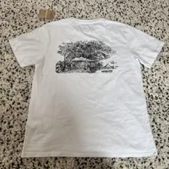 Patagonia パタゴニア 30周年記念 Tシャツ HAWAII ハレイワM - メルカリ