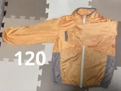 Item thumbnail for item 89961e09-73b6-4011-b36e-db88ef3c8c13