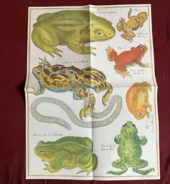 2026年最新】ジョンデリアンの人気アイテム - メルカリ