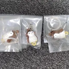 ハイキュー‼︎ めじるしアクセサリー 赤葦京治 3個セット