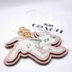 Item thumbnail for item 06f21436-604b-4733-8f95-51f5d022ad78