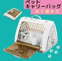 Item thumbnail for item 249bb748-d14e-4ff8-95ee-98f7450f0972