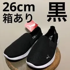 Item thumbnail for item 7a143843-b6fa-4d76-b41f-9ff45e6bb558