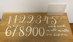 木製　数字と文字セット 月齢フォト用　レターバナー
