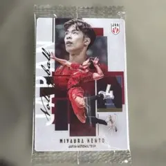 バレーボール男子日本代表 宮浦健人 トレーディングカード