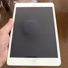 【美品・動作品】iPad Mini 2 128GB A1489 第2世代