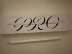 Apple Pencil pro ホワイト