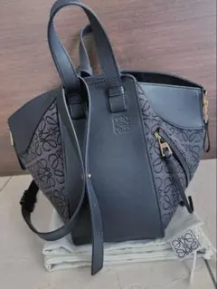 数回使用極 美品 ロエベ アントン スリング クロスボディ ショルダー