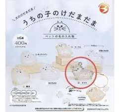 うちの子のけだまだま 犬