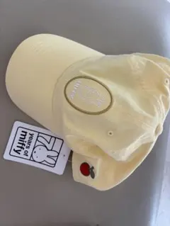 Item thumbnail for item d4bcfe73-9dd3-4998-b3f0-69566f546eae