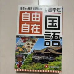 小学高学年 自由自在 国語
