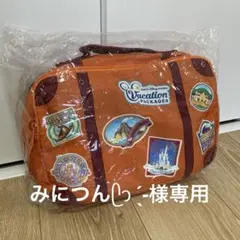 東京ディズニーリゾート バケパ　バケーションパッケージ　ブランケット　限定グッズ