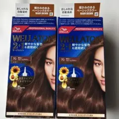 WELLATON 2+1 ツープラスワン 7G ウォームブラウン 2個セットのサムネイル