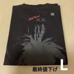 【最終値下げ】新品未開封　KAWS + Warhol 