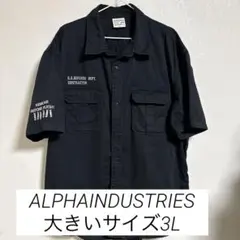 ‼️最終値下げです‼️ ALPHA INDUSTRIES 3L ブラック