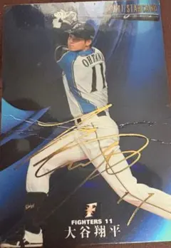 大谷翔平 サインカード プロ野球チップス
