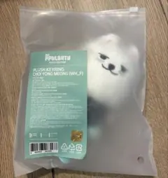 TXT プルバトゥ プラッシュキーリング お座り ヨンモン