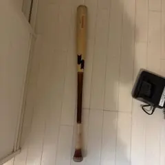 Item thumbnail for item 63a6c796-f977-4f5b-afff-29976c4f64be