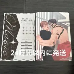 ダリア　小冊子　B6サイズ　ビジュアルボード　 コントラディクト　渡辺響