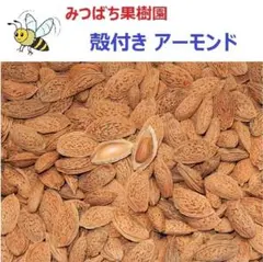 怪々様 リクエスト 2点 まとめ商品