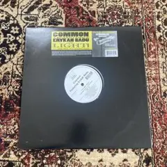 common the light remix レコード