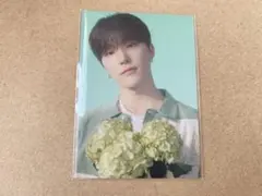 SEVENTEEN HANABI トレカ ディノ